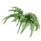 仿真肾蕨 蕨草 鱼尾草 波斯草蕨类植物墙装饰盆栽 仿真叶子植物墙