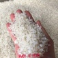 PA6半透明 消光料