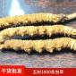 青海玉树冬虫夏草2根一克 产地野生虫草玉树冬虫夏草礼盒